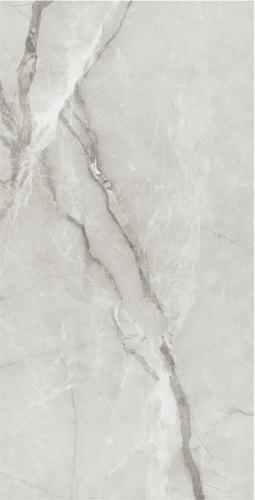 GMA156001-魚肚灰-3