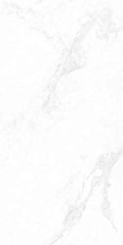 GMA156006-寒江雪-3-