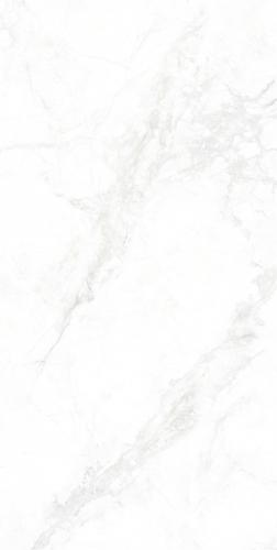 GMA156006-寒江雪-4-