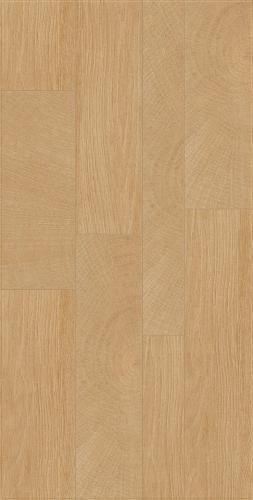 GMKG12616M棲橡叢林