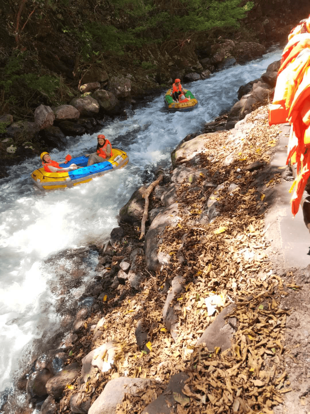 1597202002453710.png 圖片20.png